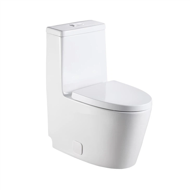 One-piece soft closing wc